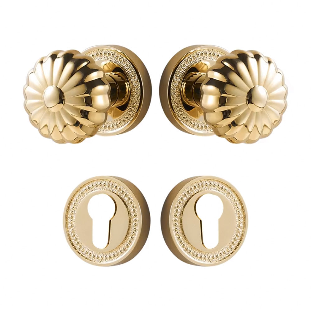 Dooroom Brass Door Lock Set  Magnetic Optional PVD Shiny Gold Interior Bedroom Bathroom Double Wood Door Lever Dummy