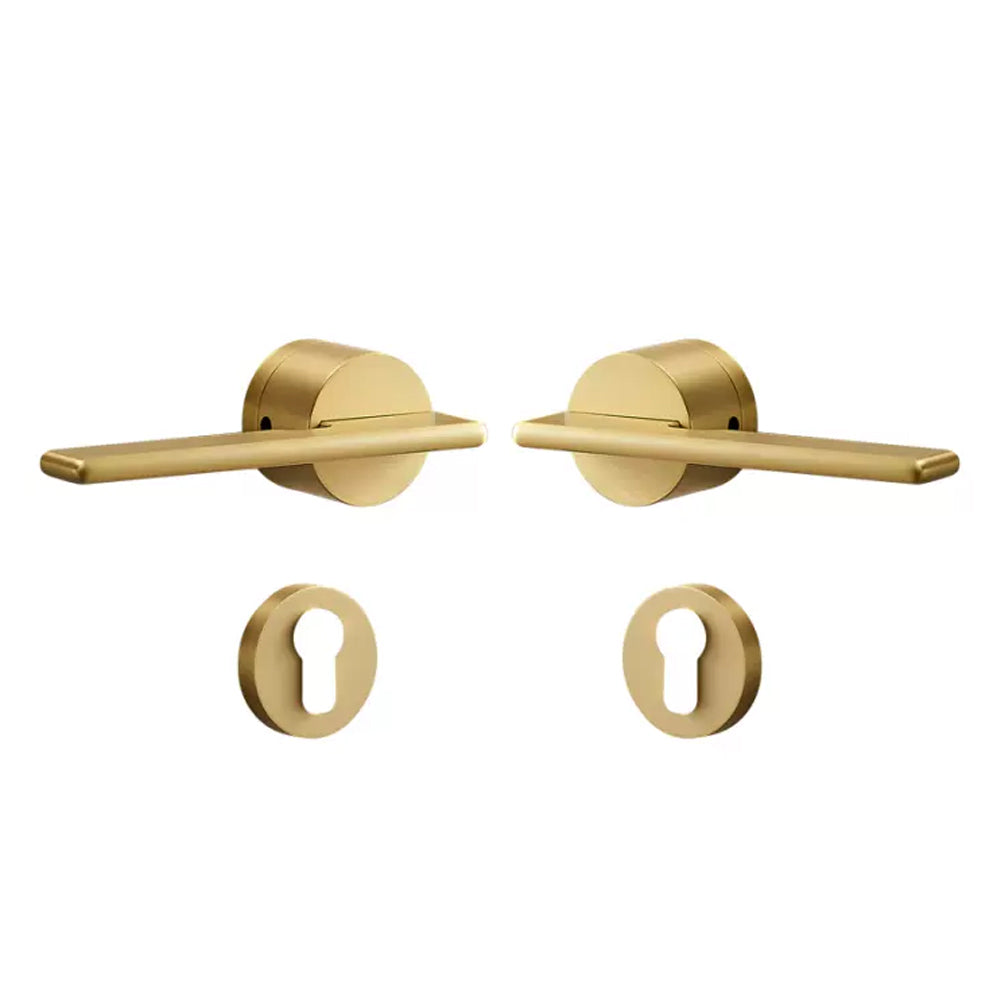 Dooroom Brass Door Lock Set Modern Gold Black Silver Interiror Bedroom Bathroom Double Wood Door Lever Set Dummy Handle Knob